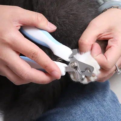 Petopia Ciseaux pour ongles d'animaux de compagnie avec manche en forme