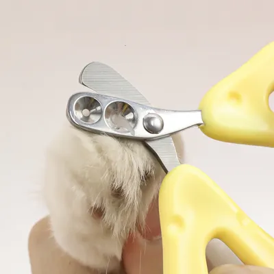 Petopia Ciseaux pour ongles de chat en forme de fromage