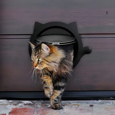 FurryFusion Schwarz FurryFusion Schwarz