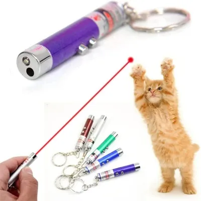 IntiMeg Lot de 2 mini-jouets pour chat avec pointeur laser