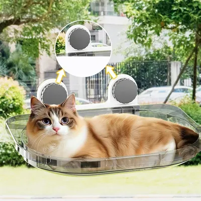 Petopia Hamac pour chat à ventouses