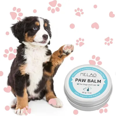 ZenPets Baume pour les pattes de chien et de chat