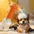 Petopia Mousseur automatique pour bain d'animaux de compagnie forme Petopia Mousseur automatique pour bain d'animaux de compagnie forme