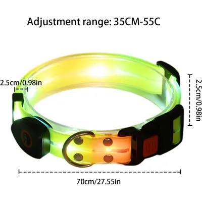 UAMLY Laisse lumineuse pour chien