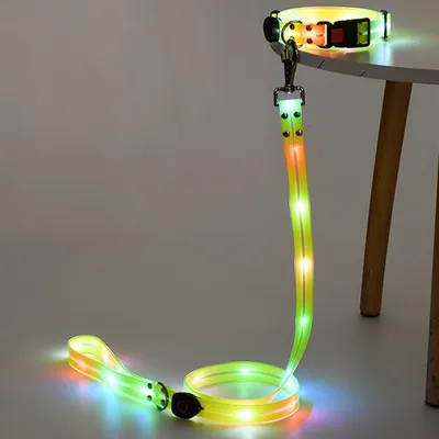 UAMLY Laisse lumineuse pour chien