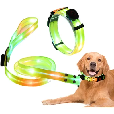 UAMLY Laisse lumineuse pour chien