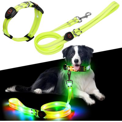 UAMLY Laisse lumineuse pour chien