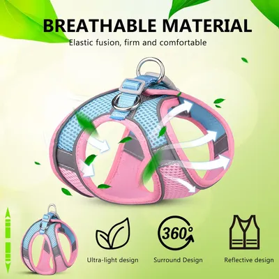 UAMLY Harnais anti-traction pour chien