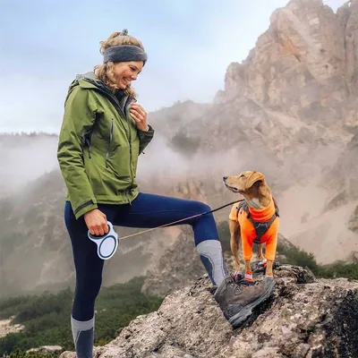 Petopia Corde de traction automatique pour chien