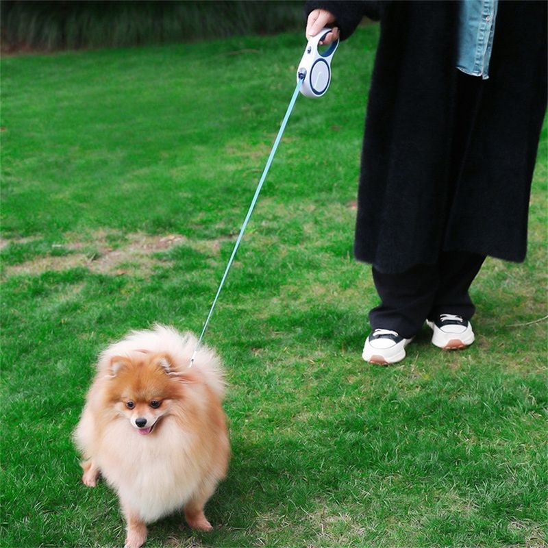 Petopia Corde de traction automatique pour chien