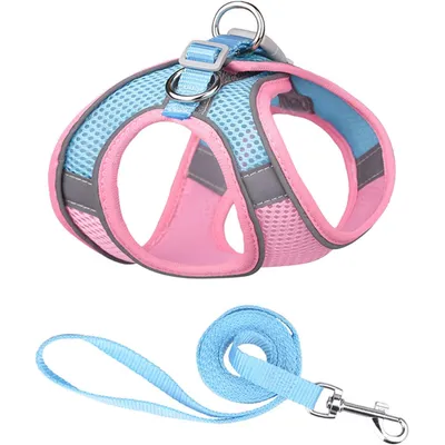 UAMLY Harnais anti-traction pour chien