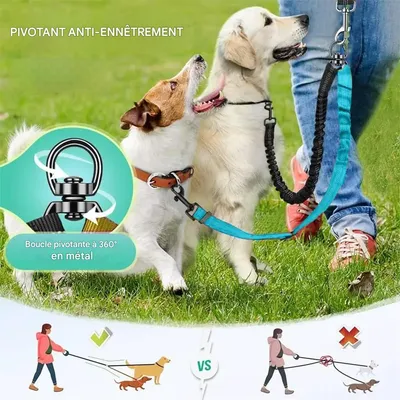 IntiMeg Laisse pour 2 chiens double réglable