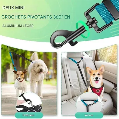 IntiMeg Laisse pour 2 chiens double réglable