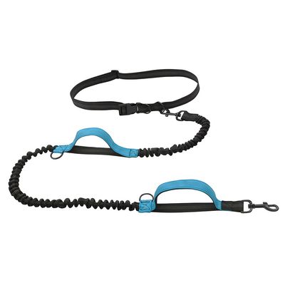 Petopia Laisse pour chien