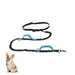 Petopia Laisse pour chien
