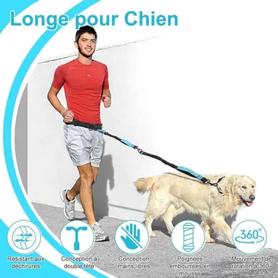 Petopia Laisse pour chien
