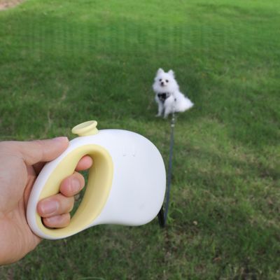 Petopia Corde de traction télescopique pour chien
