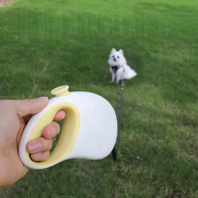 Petopia Corde de traction télescopique pour chien