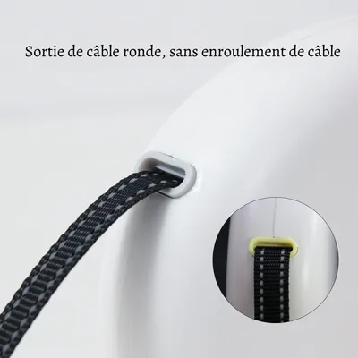 Petopia Corde de traction télescopique pour chien