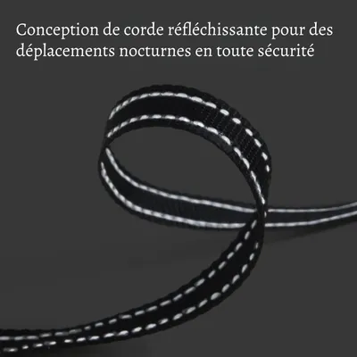 Petopia Corde de traction télescopique pour chien