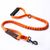 Petopia Laisse pour chien