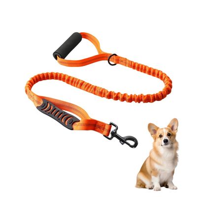 Petopia Laisse pour chien