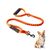 Petopia Laisse pour chien