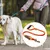Petopia Laisse pour chien
