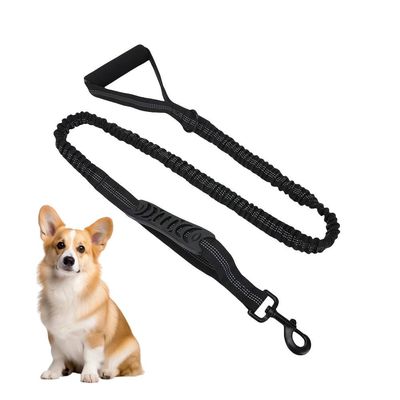 Petopia Laisse pour chien