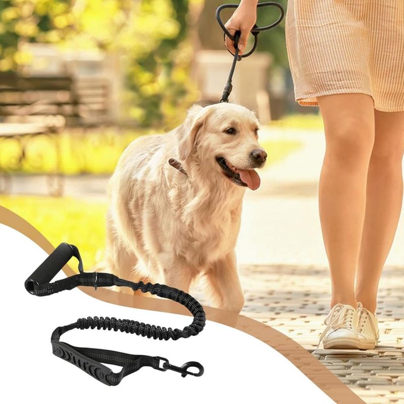 Petopia Laisse pour chien
