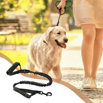 Petopia Laisse pour chien