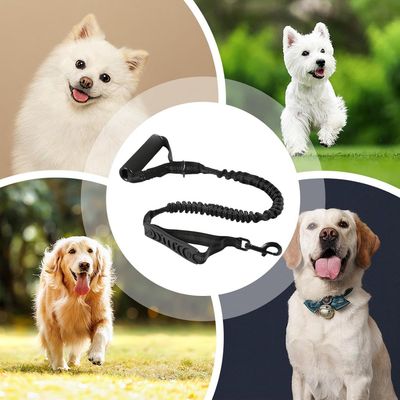 Petopia Laisse pour chien
