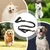 Petopia Laisse pour chien