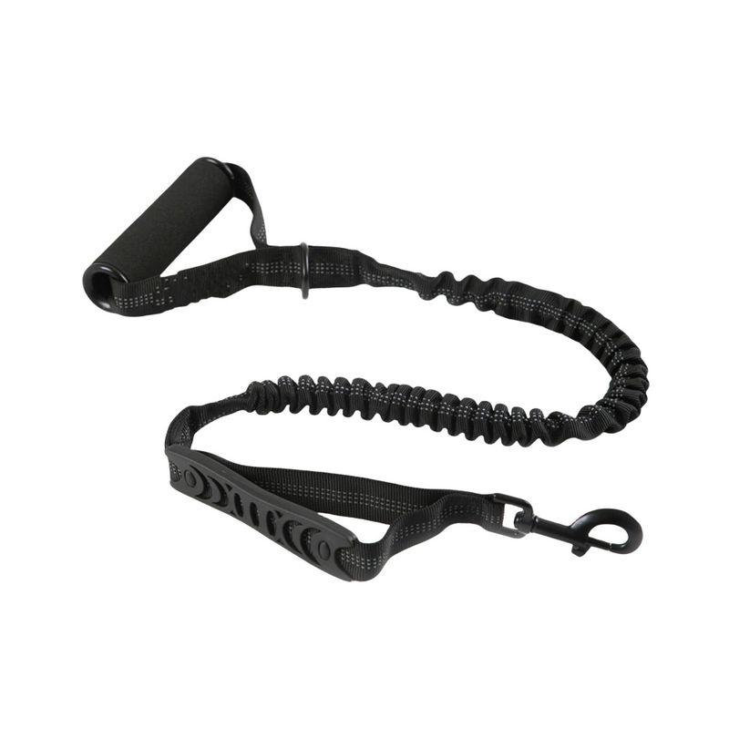 Petopia Laisse pour chien