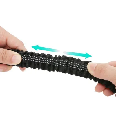 Petopia Laisse pour chien