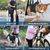 UAMLY Harnais de levage pour chien, sac à dos pour pattes