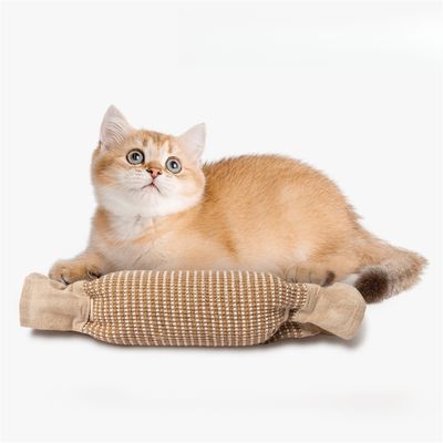 IntiMeg Jouets pour griffoirs pour chat