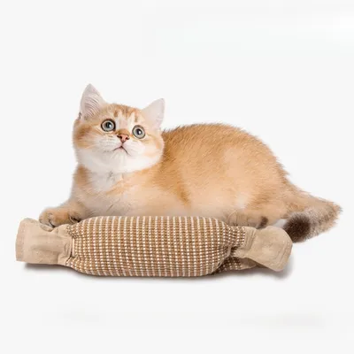 IntiMeg Jouet en sisal à griffer pour chat