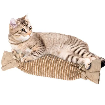IntiMeg Jouet en sisal à griffer pour chat