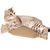 IntiMeg Jouets pour griffoirs pour chat