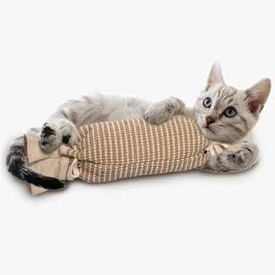 IntiMeg Jouet en sisal à griffer pour chat