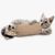 IntiMeg Jouets pour griffoirs pour chat