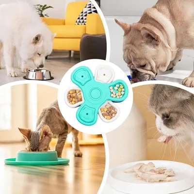 Petopia Mangeoire puzzle pour chien