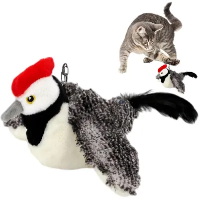 ZenPets FunFeather Jouet Pour Chat