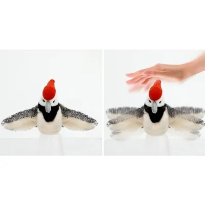 ZenPets FunFeather Jouet Pour Chat