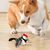 ZenPets FunFeather Jouet Pour Chat