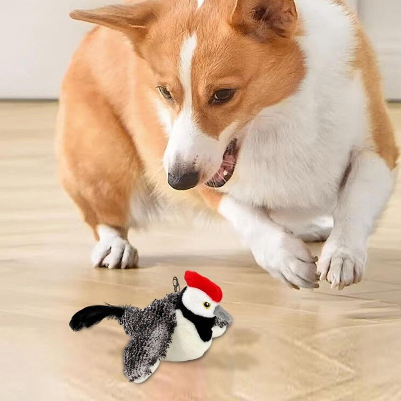 ZenPets FunFeather Jouet Pour Chat