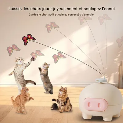 Petopia Jouet électronique pour chats