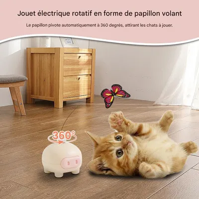 Petopia Jouet électronique pour chats