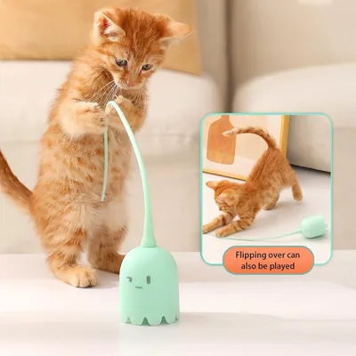 ZenPets Jouet interactif avec Queue Design Pour Chats